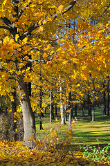 Image showing Autumn landscape. Russia