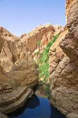 Image showing River between rocks in the oasis of Tozeur