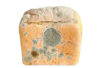 Image showing Moldy bread. Isolated