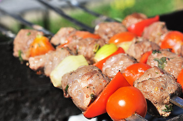 Image showing Kebabs, threaded on a skewer