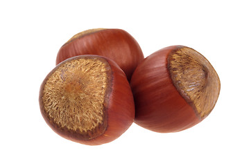 Image showing Three unpeeled hazelnut