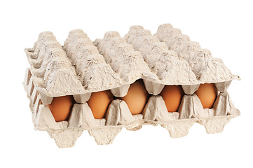 Image showing Eggs in the package