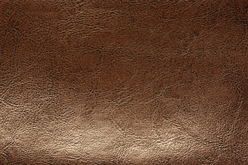 Image showing Brown leather