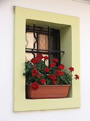Image showing window with flowers