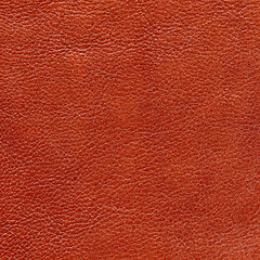 Image showing Red leather