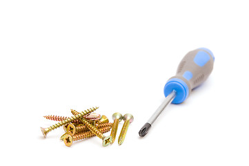 Image showing Screwdriver and yellow screws