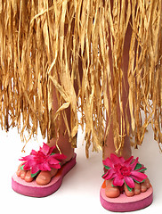 Image showing hula skirt and flip flops