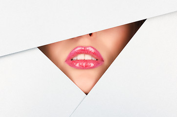 Image showing Beautiful female lips