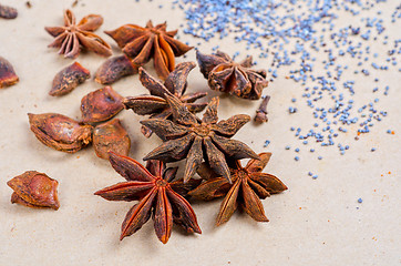 Image showing Anise stars