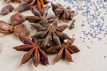 Image showing Anise stars