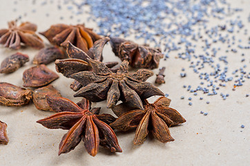 Image showing Anise stars