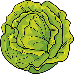 Image showing cabbage