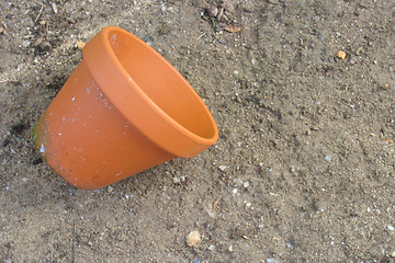 Image showing Pot