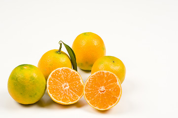 Image showing Tangerines