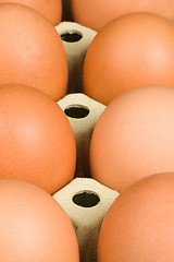 Image showing Eggs