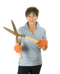 Image showing cute middle age woman garden hand tool hedge trimmer shears