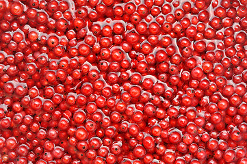Image showing Fresh red currant berries in water - background