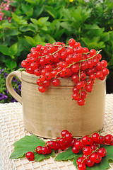 Image showing Ceramic cup full of fresh red currant berries