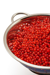 Image showing Fresh red currant berries with water drops in colander - isolated