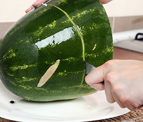 Image showing Watermelon