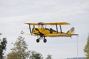 Image showing Tiger Moth