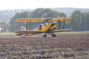 Image showing Tiger Moth