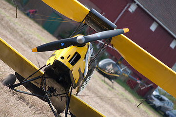 Image showing Tiger Moth