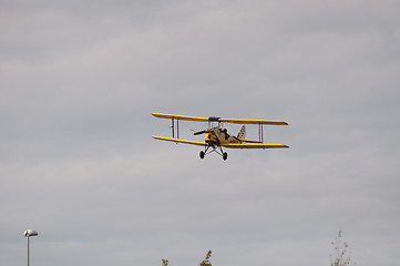 Image showing Tiger Moth