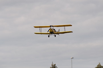 Image showing Tiger Moth