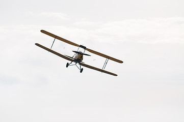 Image showing Tiger Moth