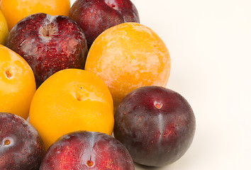 Image showing Assorted plums
