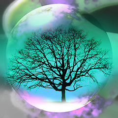 Image showing abstract background with tree