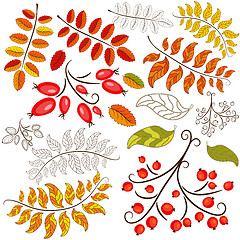 Image showing Collection abstract autumn element