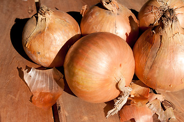 Image showing Onions