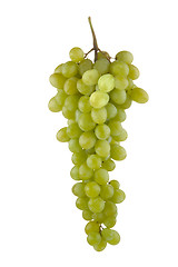 Image showing grapes 