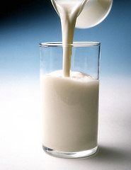 Image showing Glass of milk                       