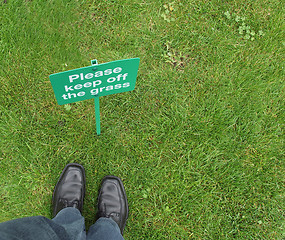 Image showing Keep off the grass