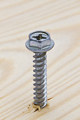 Image showing screw on wood background
