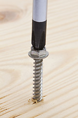 Image showing Screwdriver and screw 