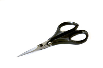 Image showing Scissors