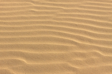 Image showing sand background