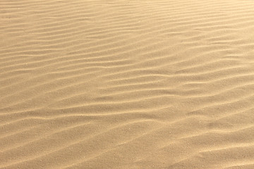 Image showing sand background