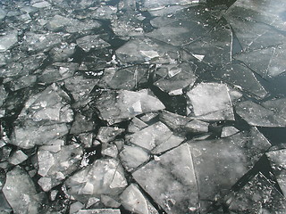 Image showing Broken ice