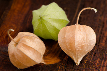 Image showing Physalis fruits closeup