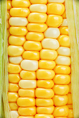 Image showing corn close up