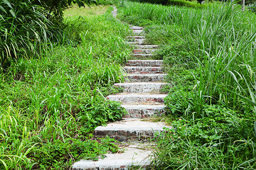 Image showing path in country side