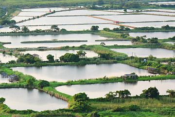 Image showing Fish Hatchery Pond