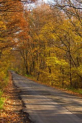 Image showing Autumn Road