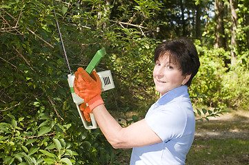 Image showing suburban housewife trimming bushes with hedge trimmer tool