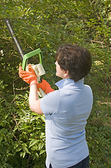 Image showing suburban housewife trimming bushes with hedge trimmer tool